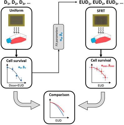 Dosimetric quantities and cell survival for spatially fractionated radiation therapy